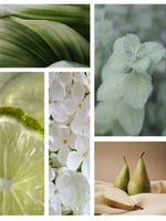 Aromachology Revitalizing Shower Gel